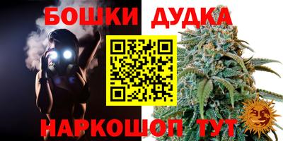 тгк Ставрополь